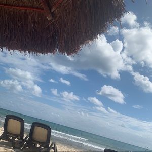 Meet your Posher, Freya